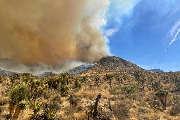 Smoke billowing from the York fire in the Mojave National Preserve on Saturday.